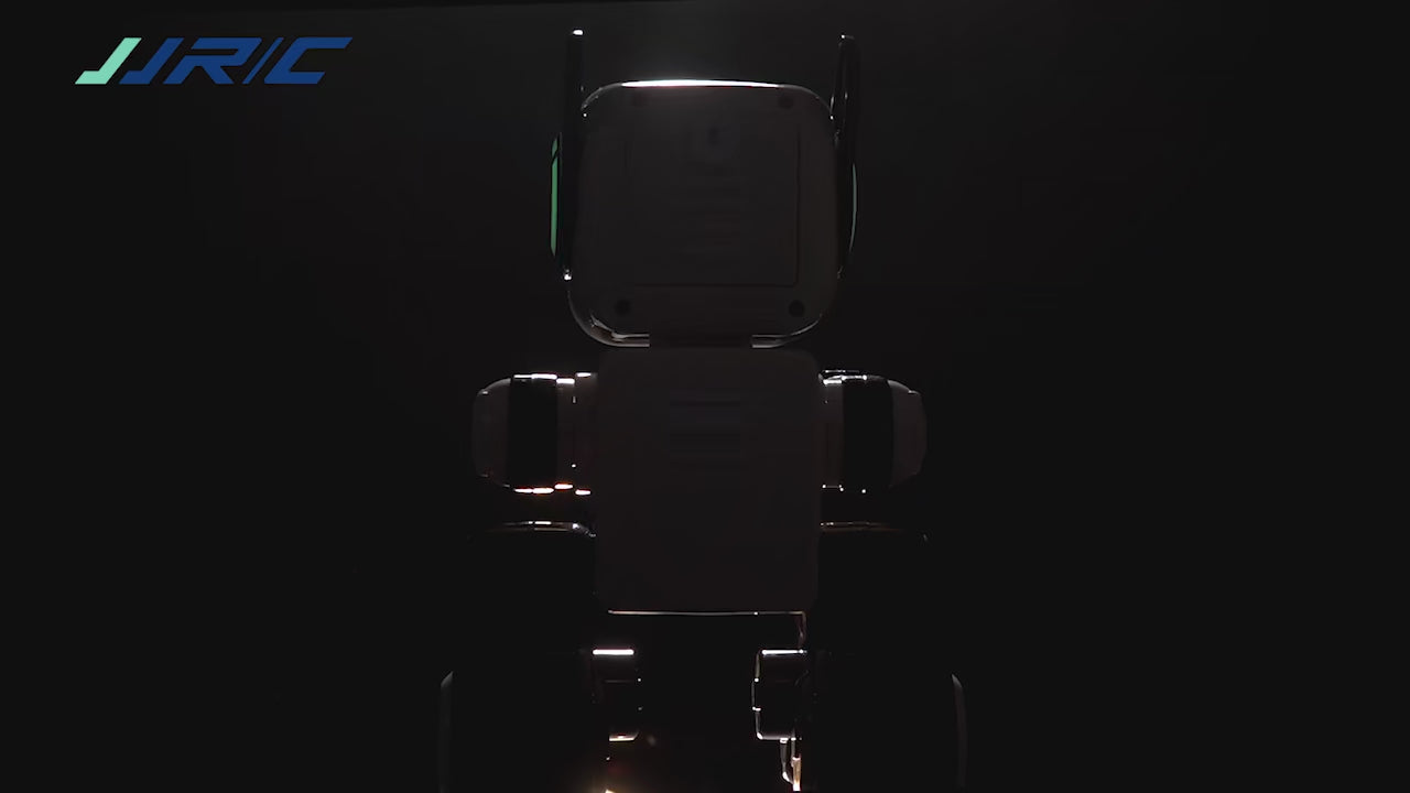 Intelligent remote control robot